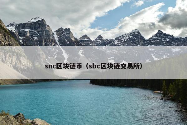 snc区块链币（sbc区块链交易所）