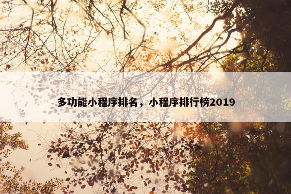 多功能小程序排名，小程序排行榜2019