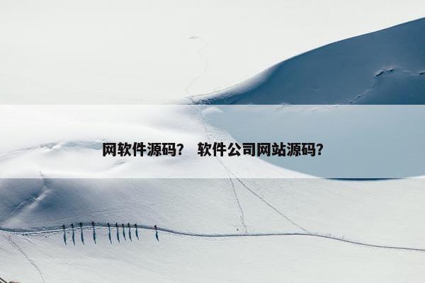 网软件源码？ 软件公司网站源码？