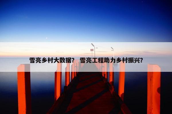 雪亮乡村大数据？ 雪亮工程助力乡村振兴？