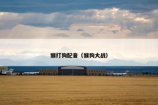 猴打狗配音（猴狗大战）