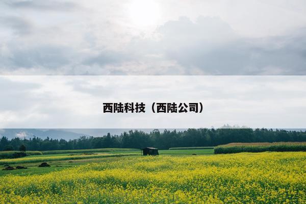西陆科技（西陆公司）