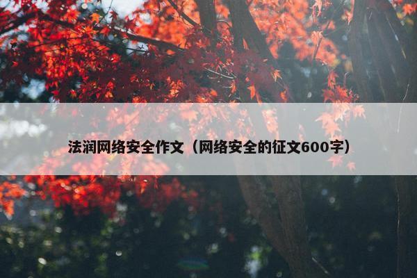 法润网络安全作文（网络安全的征文600字）