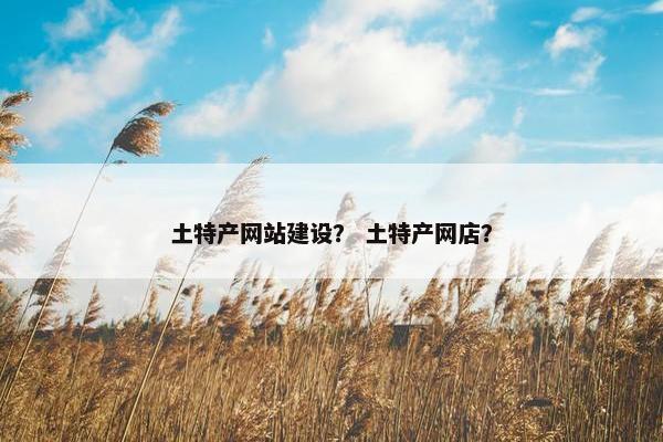 土特产网站建设？ 土特产网店？