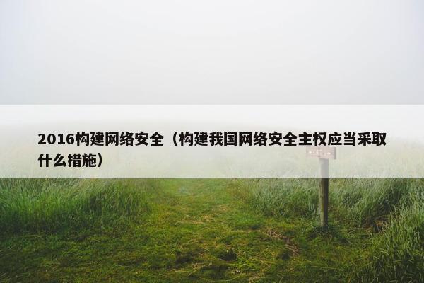 2016构建网络安全（构建我国网络安全主权应当采取什么措施）