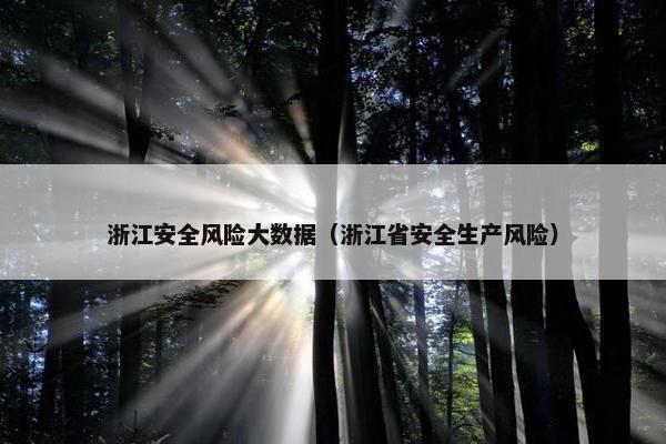 浙江安全风险大数据（浙江省安全生产风险）