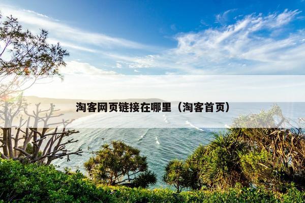 淘客网页链接在哪里（淘客首页）
