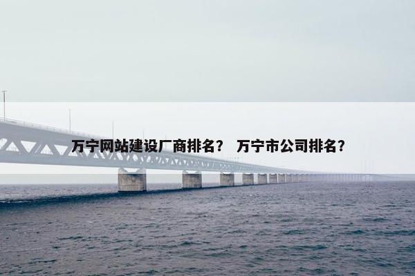 万宁网站建设厂商排名？ 万宁市公司排名？