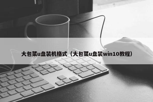 大包菜u盘装机格式（大包菜u盘装win10教程）