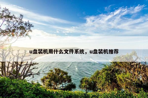 u盘装机用什么文件系统，u盘装机推荐
