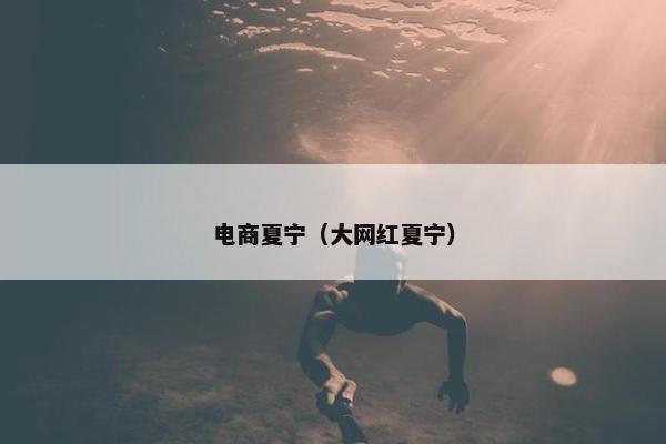 电商夏宁（大网红夏宁）