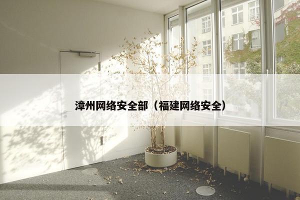 漳州网络安全部（福建网络安全）