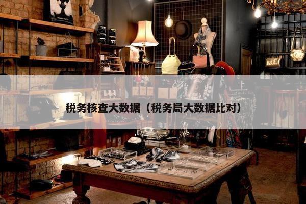 税务核查大数据（税务局大数据比对）