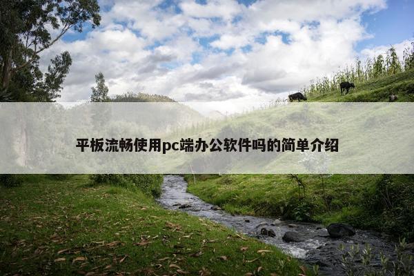 平板流畅使用pc端办公软件吗的简单介绍