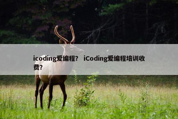 icoding爱编程？ iCoding爱编程培训收费？