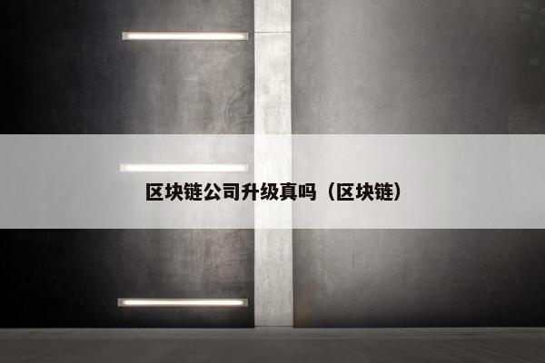 区块链公司升级真吗（区块链）