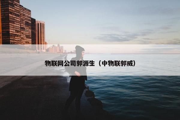 物联网公司郭源生（中物联郭威）
