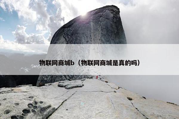 物联网商城b（物联网商城是真的吗）