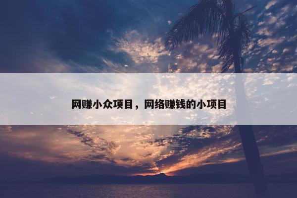 网赚小众项目，网络赚钱的小项目