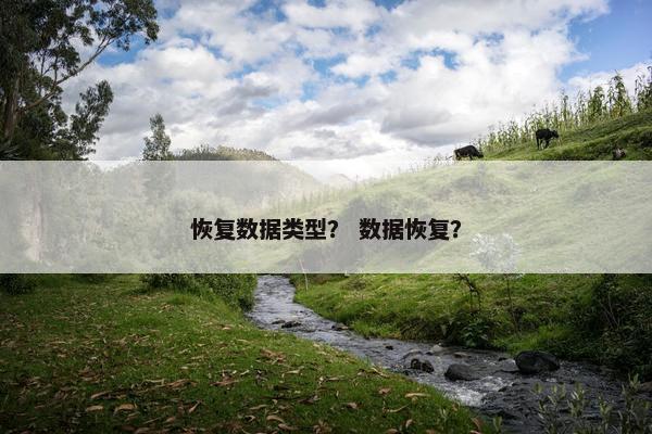 恢复数据类型？ 数据恢复？