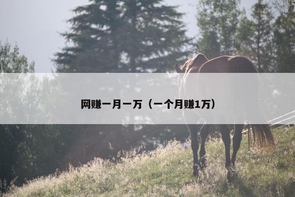 网赚一月一万（一个月赚1万）