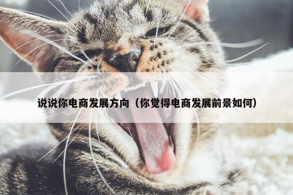 说说你电商发展方向（你觉得电商发展前景如何）