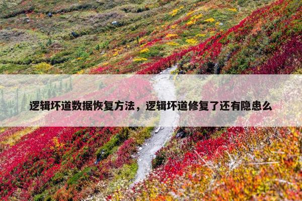 逻辑坏道数据恢复方法，逻辑坏道修复了还有隐患么