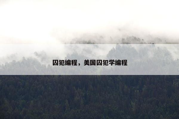 囚犯编程，美国囚犯学编程