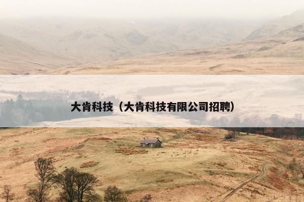 大肯科技（大肯科技有限公司招聘）