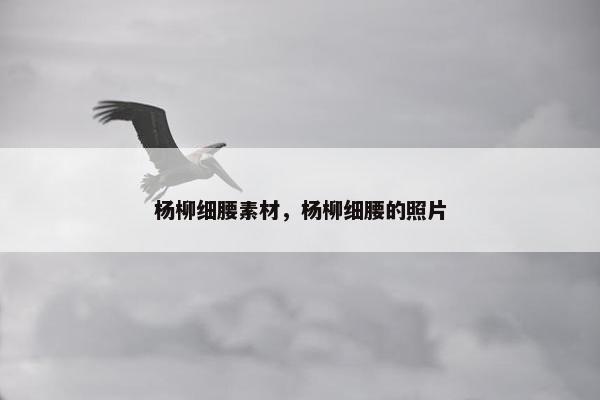 杨柳细腰素材，杨柳细腰的照片