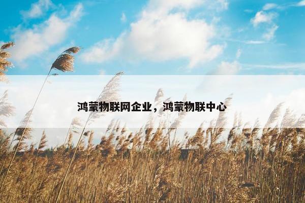 鸿蒙物联网企业，鸿蒙物联中心