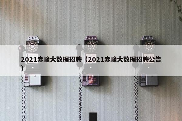 2021赤峰大数据招聘（2021赤峰大数据招聘公告）