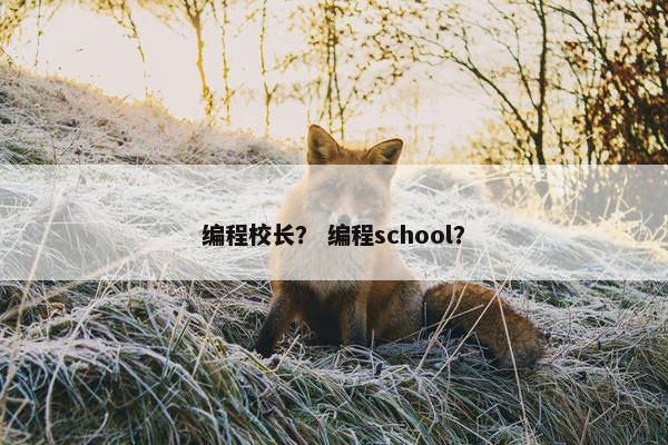 编程校长？ 编程school？