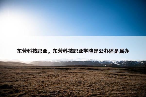 东营科技职业，东营科技职业学院是公办还是民办