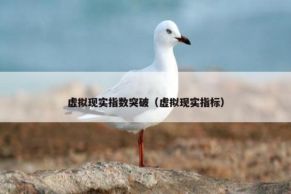 虚拟现实指数突破（虚拟现实指标）