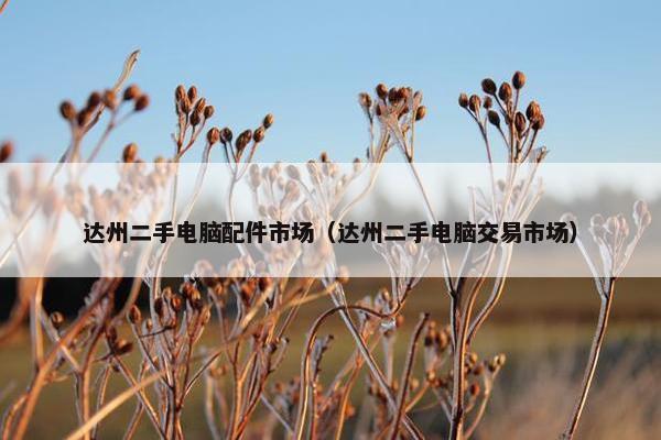 达州二手电脑配件市场（达州二手电脑交易市场）