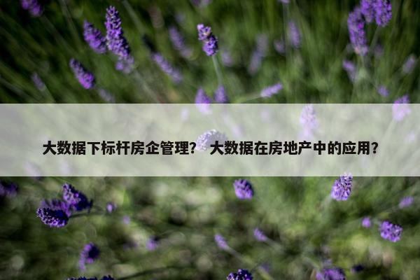 大数据下标杆房企管理？ 大数据在房地产中的应用？