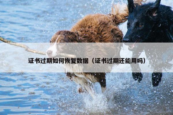 证书过期如何恢复数据（证书过期还能用吗）