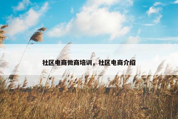 社区电商微商培训，社区电商介绍