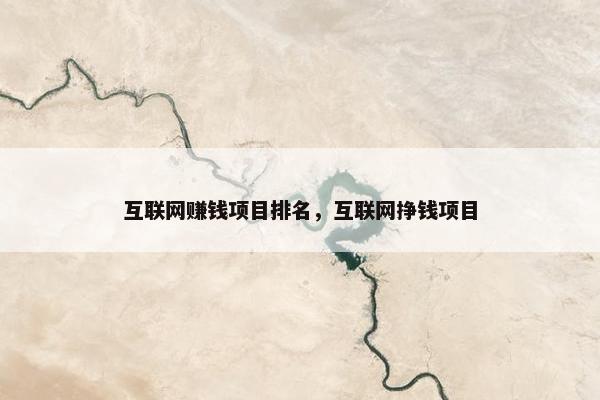 互联网赚钱项目排名，互联网挣钱项目
