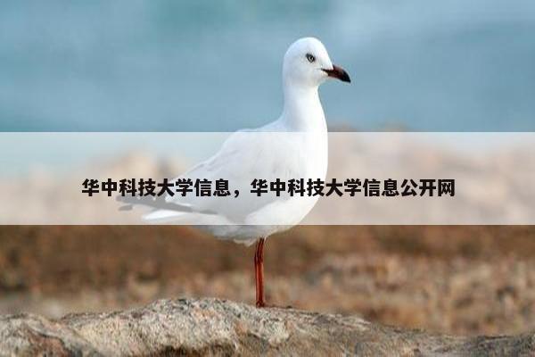 华中科技大学信息，华中科技大学信息公开网
