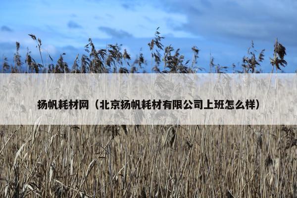 扬帆耗材网（北京扬帆耗材有限公司上班怎么样）