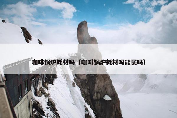 咖啡锅炉耗材吗（咖啡锅炉耗材吗能买吗）