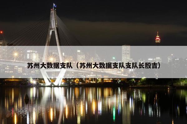 苏州大数据支队（苏州大数据支队支队长殷吉）