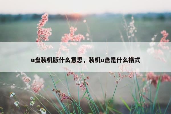 u盘装机版什么意思，装机u盘是什么格式