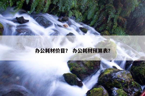 办公耗材价目？ 办公耗材预算表？
