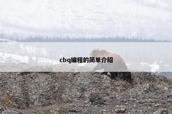 cbq编程的简单介绍