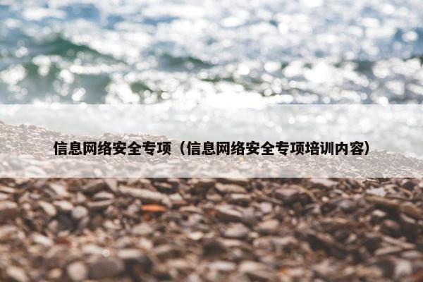 信息网络安全专项（信息网络安全专项培训内容）