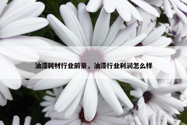 油漆耗材行业前景，油漆行业利润怎么样
