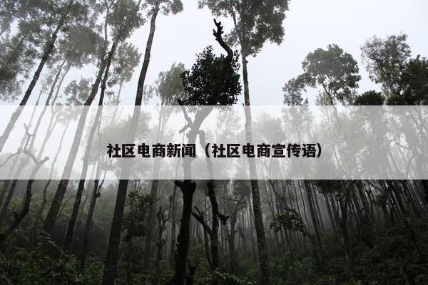 社区电商新闻（社区电商宣传语）